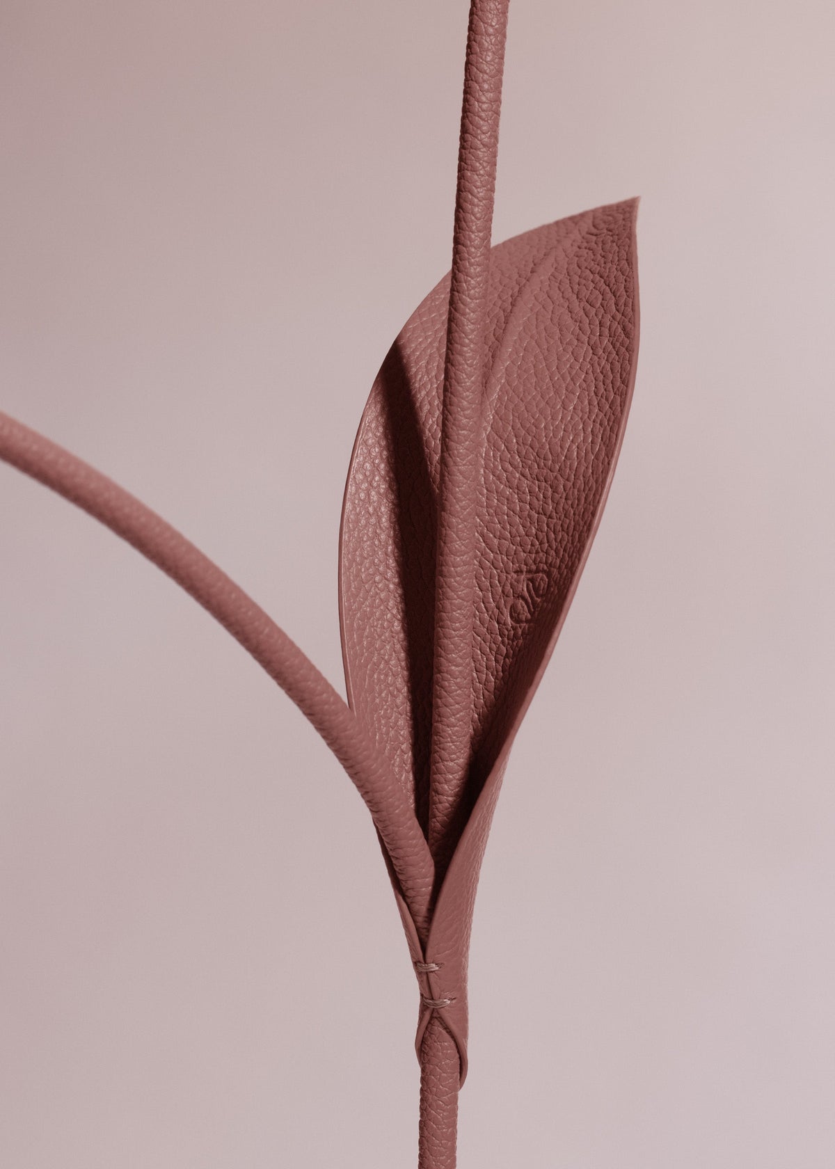 Fleur Tul - Blush