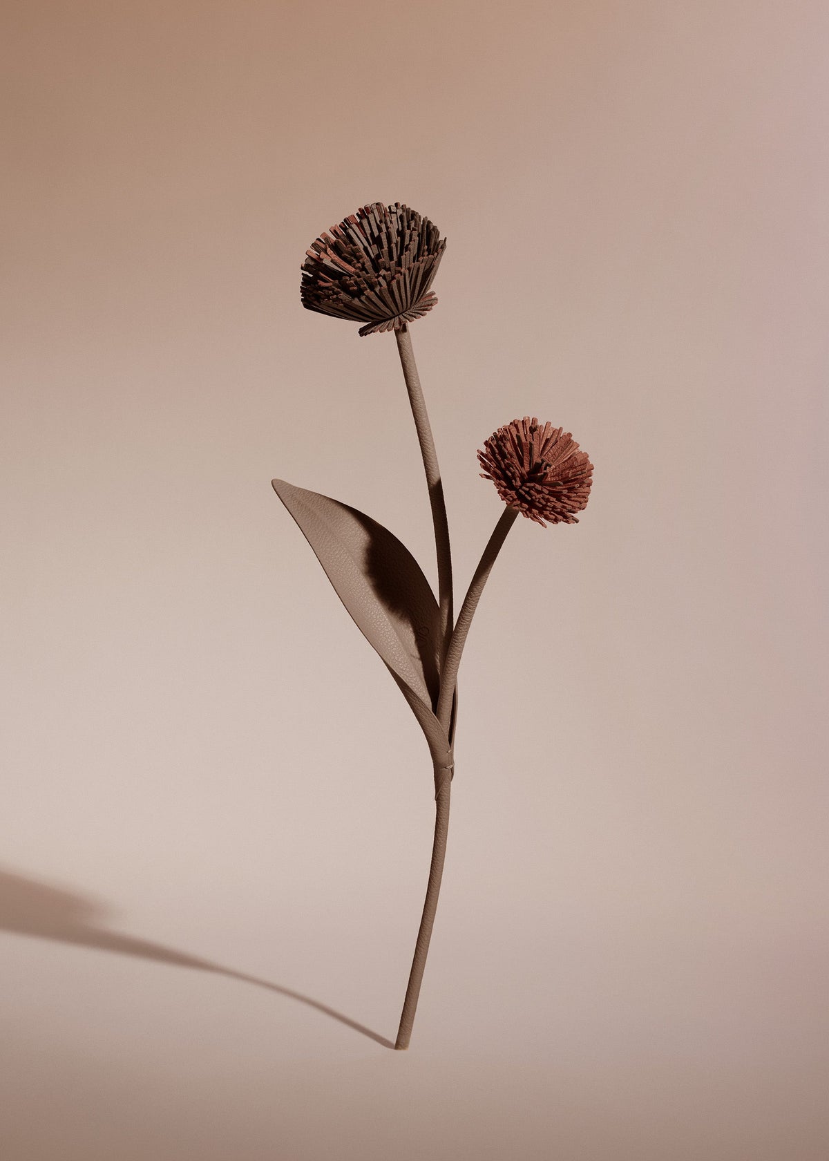 Fleur Tul - Racine
