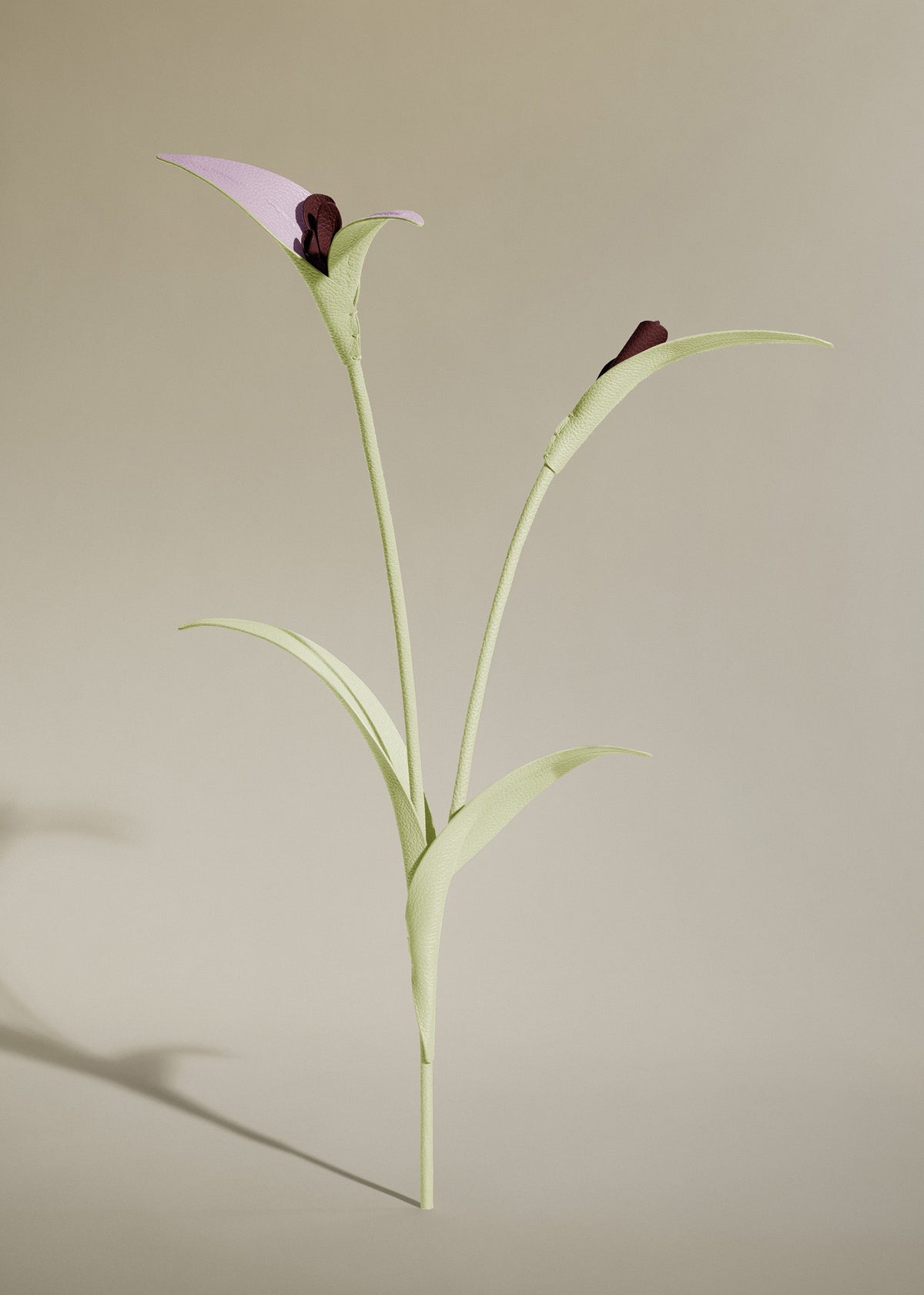 Fleur Touka - Aloe