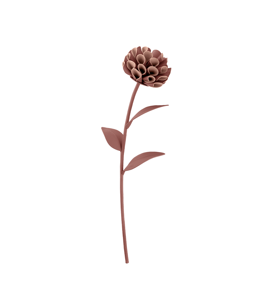 Fleur Dalium - Blush