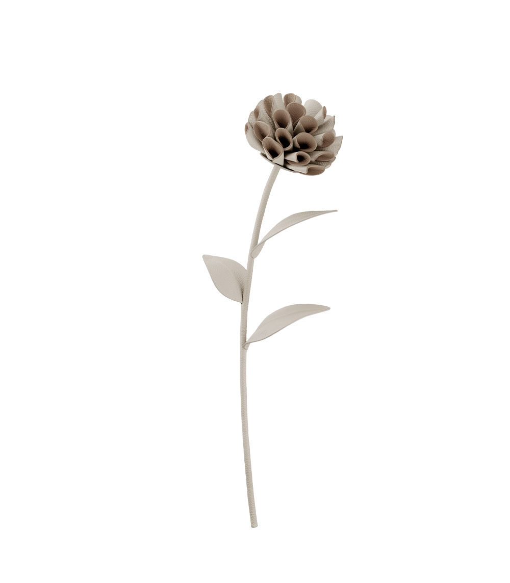 Fleur Dalium - Craie