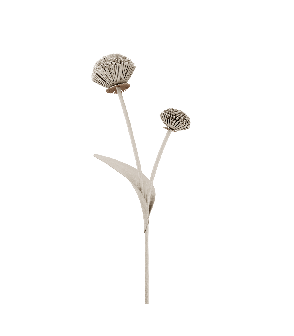 Fleur Tul - Craie
